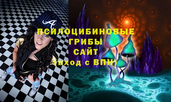 стафф Беломорск