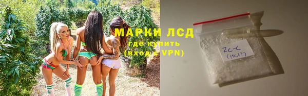 стаф Балахна