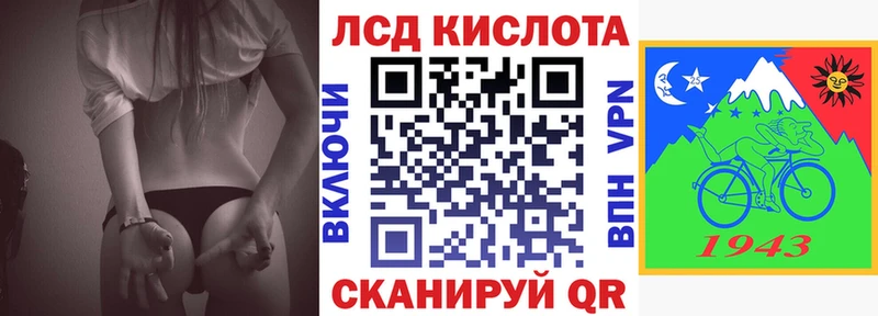 ссылка на мегу как зайти  Верхняя Пышма  Наркотические марки 1,5мг  цена наркотик 